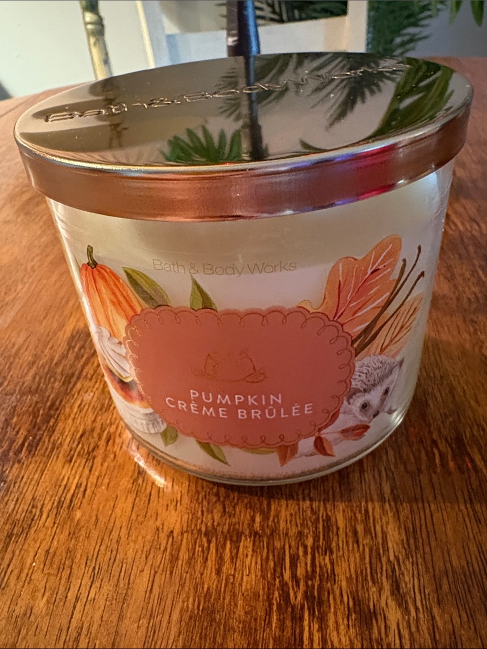 “Pumpkin Creme Brûlée” New Scent 3 wick candle from B&B